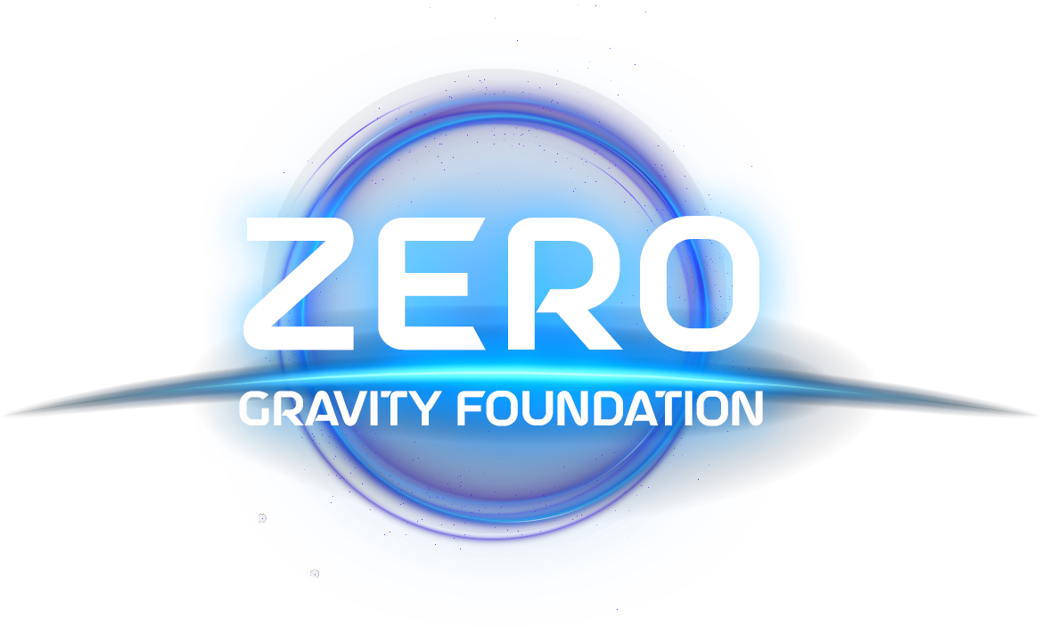 Zero Gravity Universe
